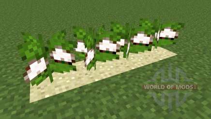 Desert Cotton Mod для Minecraft