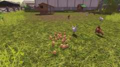 Кучность куриных яиц для Farming Simulator 2013