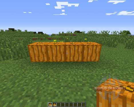 Pumpkin Carvier для Minecraft