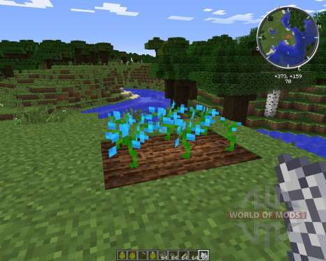 Growing Flowers для Minecraft