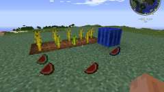 Elemental Melons для Minecraft