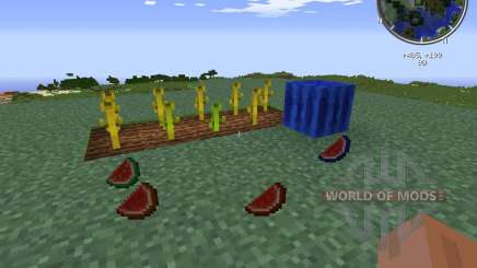 Elemental Melons для Minecraft