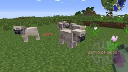 Pug Life для Minecraft