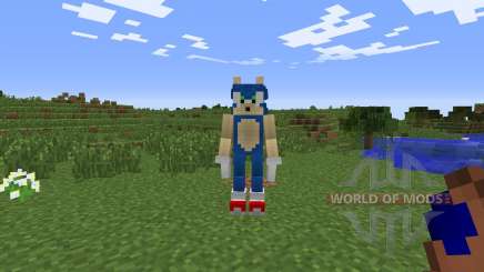 Sonic The Hedgehog для Minecraft