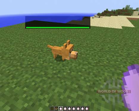 Dog Cat Plus [1.7.2] для Minecraft