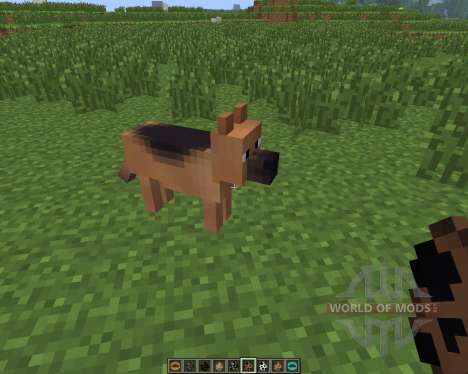 Copious Dogs [1.6.4] для Minecraft