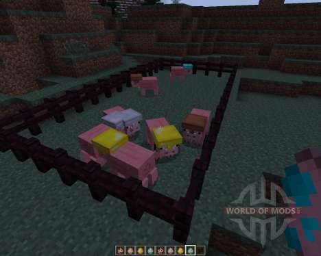 Pig Companion [1.7.2] для Minecraft