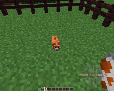 Invincible Hamster [1.5.2] для Minecraft