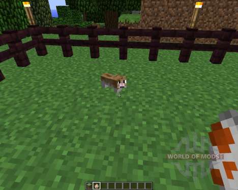 Invincible Hamster [1.5.2] для Minecraft