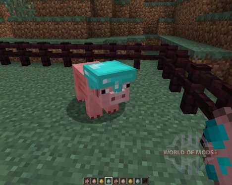 Pig Companion [1.7.2] для Minecraft