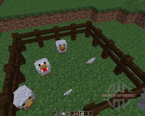 ChickenShed [1.8] для Minecraft