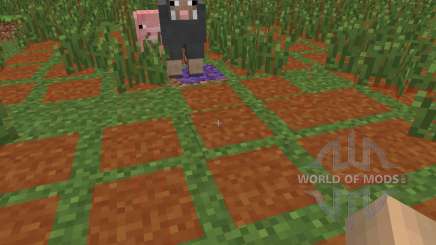 Monster Spawn Highlighter [1.6.4] для Minecraft