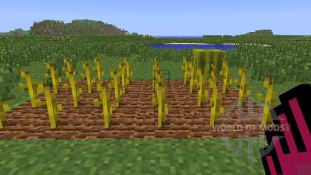 Planter Helper [1.6.4] для Minecraft