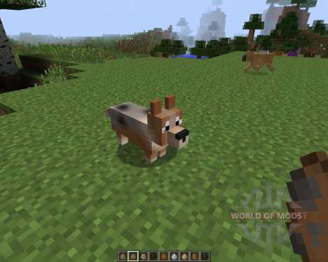 Copious Dogs by wolfpup [1.7.2] для Minecraft