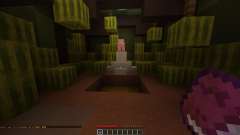 Melon mania 2 для Minecraft