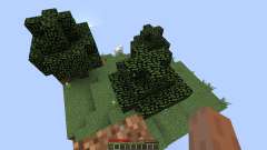 One Chunk для Minecraft