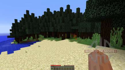 Wonderful map для Minecraft