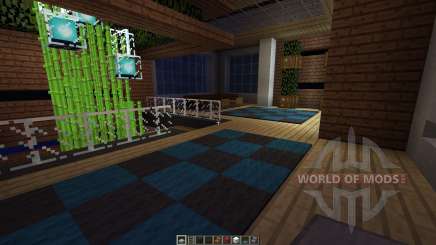 PLANINA A Modern House для Minecraft