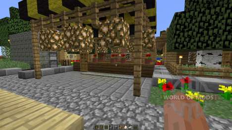 Draya Village для Minecraft