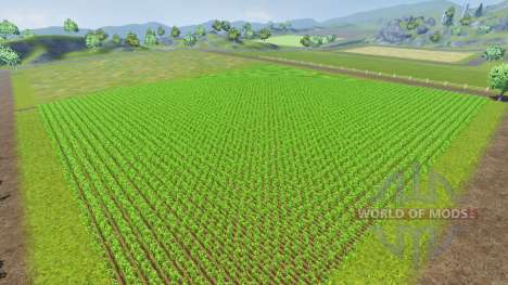 Fiatagri v1.1 для Farming Simulator 2013