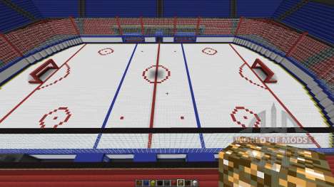 Oustanding Outdoor Hockey Arena для Minecraft