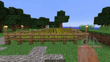 Medieval House Farm для Minecraft