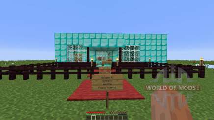 Serenity Mansion для Minecraft