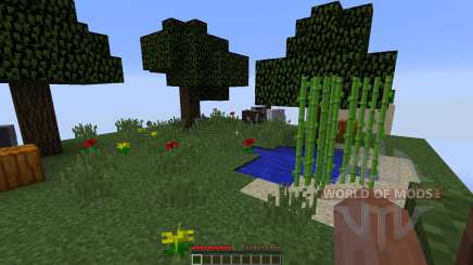 Chunks для Minecraft