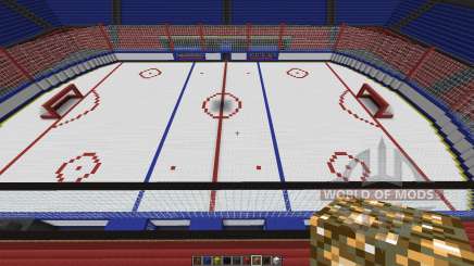 Oustanding Outdoor Hockey Arena для Minecraft