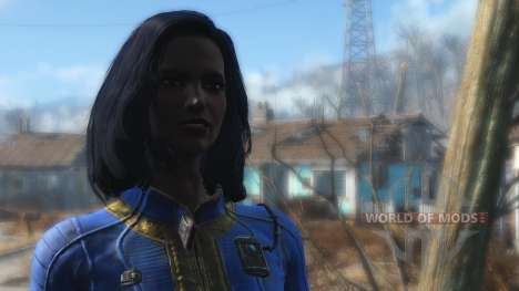 Exotic Chocolate для Fallout 4