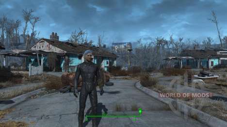 Смена пола для Fallout 4