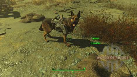Чит на броню для собаки для Fallout 4