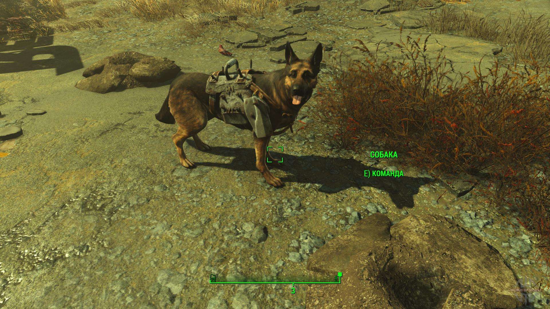 Fallout 4 бессмертие собаки фото 7