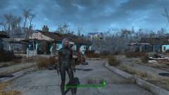 Смена пола для Fallout 4