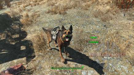 Чит на броню для собаки для Fallout 4