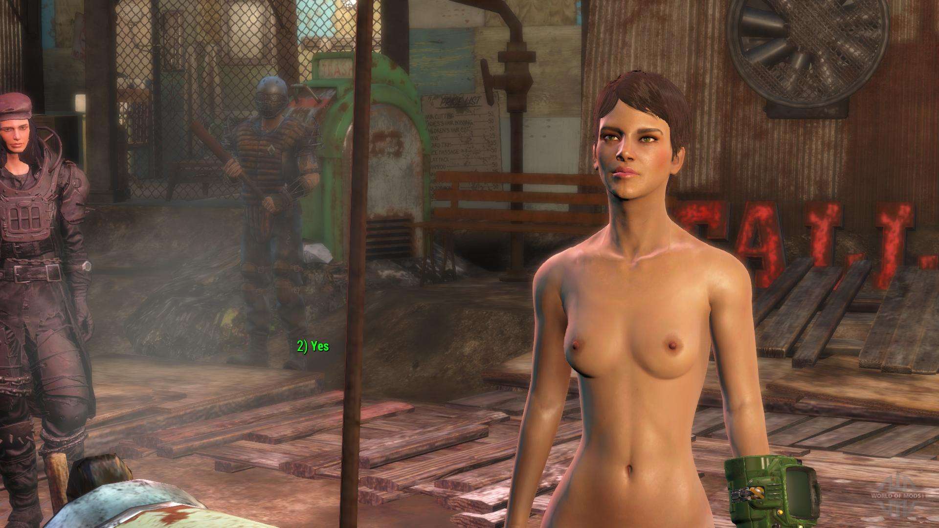 Fallout 4 vr тело фото 117