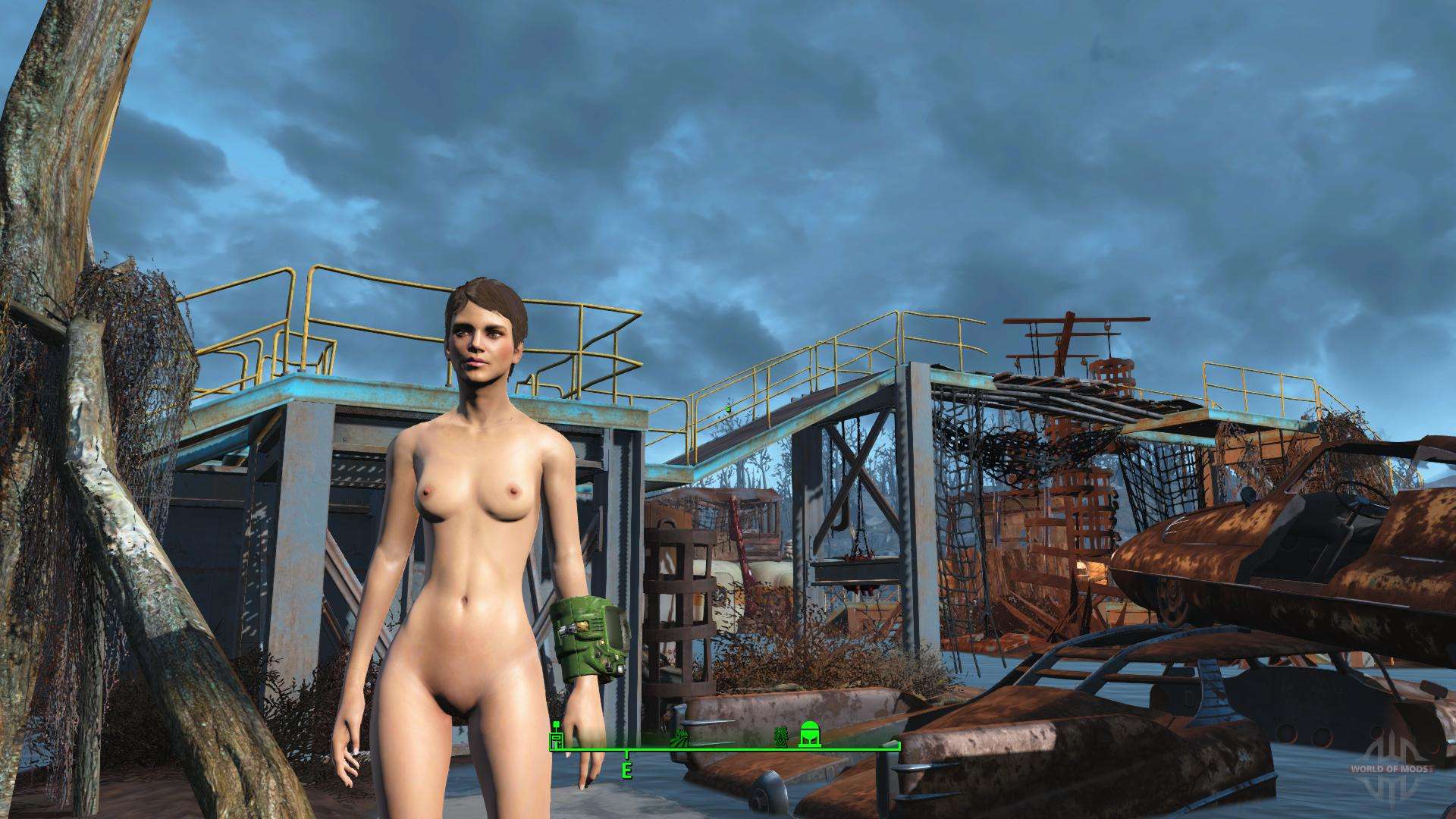 Fallout 4 как настроить тело фото 98
