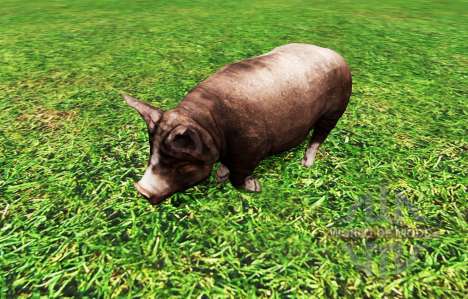 Animals для Farming Simulator 2015