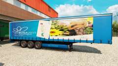 Скин BUGA 2015 на полуприцепы для Euro Truck Simulator 2