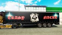 Скин Crasy Trans Logistic v2.0 на полуприцепы для Euro Truck Simulator 2