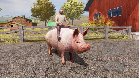 Свинья для Farming Simulator 2013