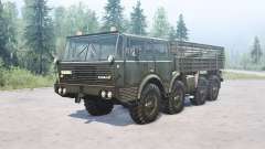 Tatra T813 для MudRunner