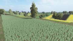 Czysta для Farming Simulator 2017