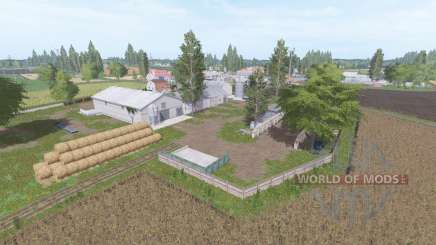 Badkowo v1.1 для Farming Simulator 2017