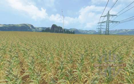 Corn Fever для Farming Simulator 2015