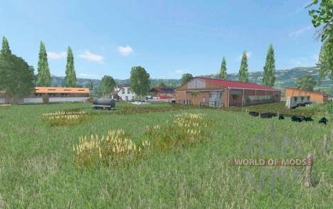 Kleinseelheim для Farming Simulator 2015