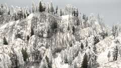 Snow Ridge Logging для MudRunner