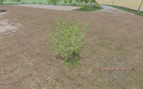 Малое дерево для Farming Simulator 2017