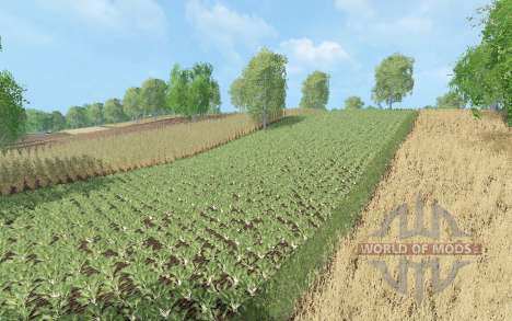 Белые росы для Farming Simulator 2015