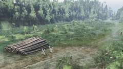 Gross для Spin Tires